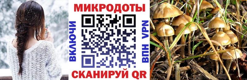 Галлюциногенные грибы Magic Shrooms где купить наркотик OMG как войти Ленинск-Кузнецкий